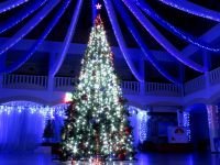 Лискинский городской дворец культуры