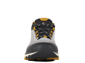 Ботинки STRIDER GTX