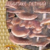 Шиитаке летний (12 шт.)