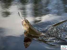 Сплав, отдых и рыбалка на реке Амга. Маршрут: Верхняя Амга - Оннес (390 км.)