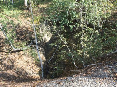 Петровский рудник (штольня)