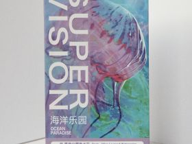 Набор акварели Super Vision "Ocean paradise", перламутры и хамелеоны, 10 цв*8 мл туба в картонной ко