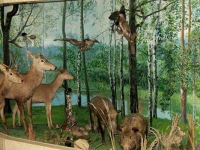 Железногорский городской краеведческий музей