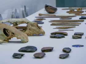 Подведены итоги морской арктической экспедиции в заповедник «Медвежьи острова»