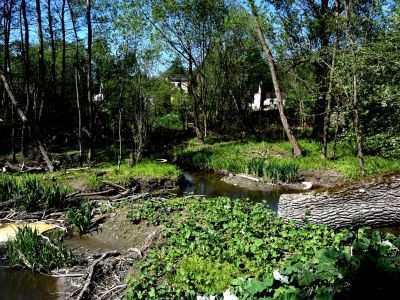Парк «Первомайский»