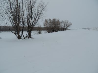 Памятное место гибели 13 красноармейцев в 1923 г., последовавших из Среднеколымска в Абый. На этом месте установлена мемориальная доска