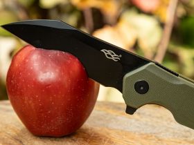 Нож складной Firebird by Ganzo FH31B-GR, сталь D2, рукоять G10, зеленый