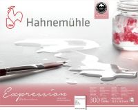 Альбом-склейка для акварели Hahnemuhle "Expression" 40х50 с/з 20 л 300 г 100% хлопок