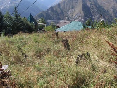 Остатки кладбища