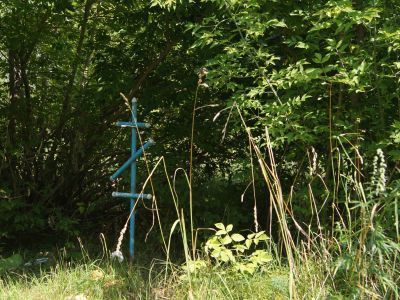 Старое кладбище с. Сростки