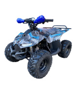 Квадроцикл RAPTOR New 125