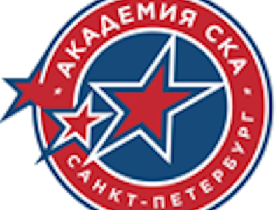 Академия СКА – Реактор