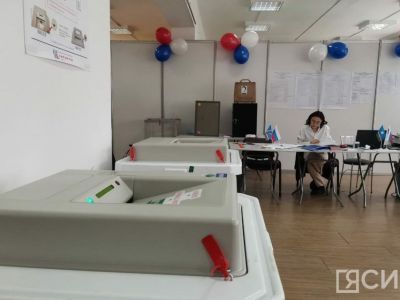В Якутии тестируют систему дистанционного электронного голосования