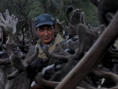 Документальный фильм о якутском оленеводе получил приз на кинофестивале «Спутник над Польшей»