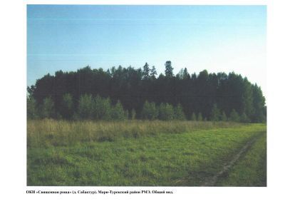 Священная роща