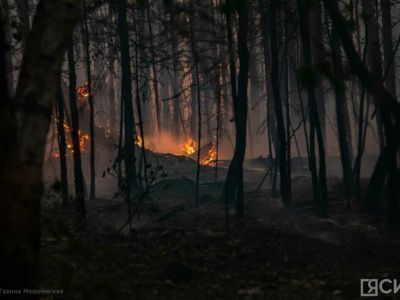 В Якутии ликвидировали лесной пожар на площади более 600 га
