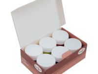 Набор акрила декоративный Гамма "Хобби" 6 цв*20 мл перламутровые цвета