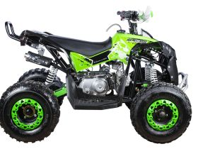 Квадроцикл YACOTA Renegade