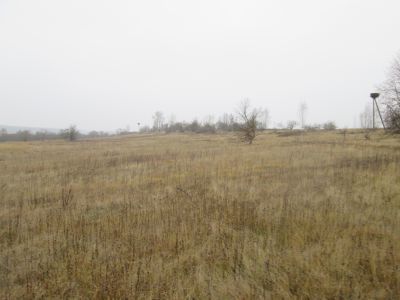 Памятное место, где в июне 1943 г. погибли секретарь Руднянского подпольного райкома партии А.А.Елисеева и секретарь райкома комсомола Меркина З.А.