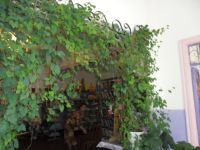 Дмитро-Титовская поселенческая библиотека-филиал