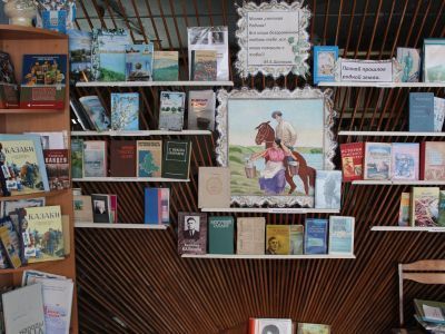 Николаевская библиотека № 11