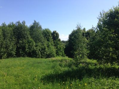 Усадьба Поливановых