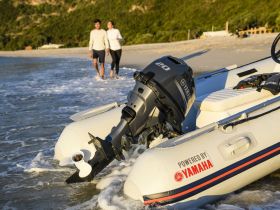 4х-тактный лодочный мотор YAMAHA F20BES