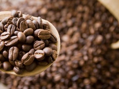 Краткий гид по кофе: виды, сорта и правила выбора