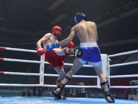 Кикбоксеры Якутии завоевали девять золотых медалей чемпионата Дальнего Востока