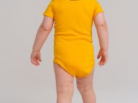 Боди детское трикотажное для мальчиков, 2 шт в комплекте