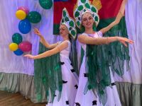 Дом культуры с. Волковка