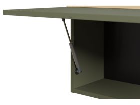 Полка Элвуд 165x36 Оливковый