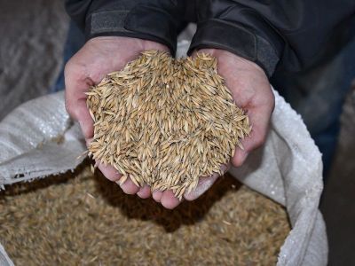 Из Амурской области в Якутию доставили более 30 тысяч тонн сельхозпродукции