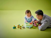 DUPLO 10441 Конструктор Сортировщик фигур: домик для щенков