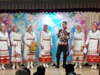 Шобашкаркасинский сельский клуб