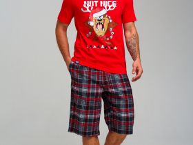 Комплект для мужчин: фуфайка (футболка) трикотажная, шорты текстильные