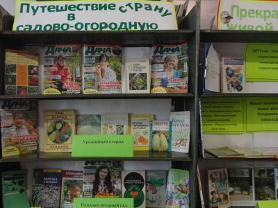 Гусёвский библиотечный филиал № 6