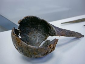 Подведены итоги морской арктической экспедиции в заповедник «Медвежьи острова»