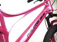 Детский велосипед Falcon Bike Mild 20, год 2024, цвет Красный