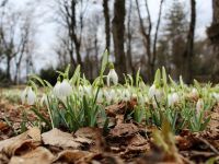 Атажукинский сад