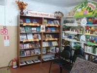 Детская библиотека – филиал № 3 г. Рузаевки