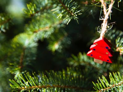 Билеты на Ватная игрушка (Восход) / Событие | Афиша | ИнфоТаймс