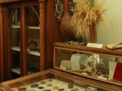 Экспозиция ботанического отдела зоологического музея и гербария им. Э.А. Эверсмана