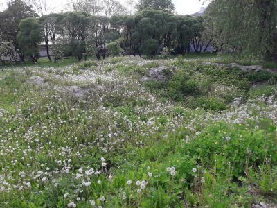 Купеческий дом Светланова