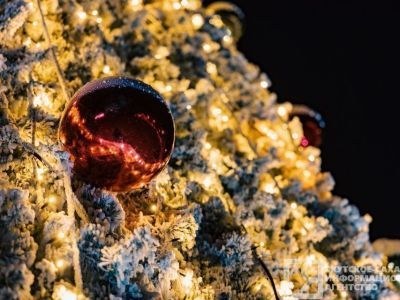 Тренды образов на новогодние корпоративы на Дальнем Востоке