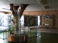 Мемориально-литературный музей А. П. Бондина