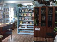 Библиотека с. Ворогово
