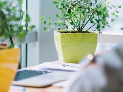 В России появился первый «зеленый офис»