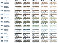 Пастель сухая мягкая Schmincke №072 зеленый лиственный, оттенок D