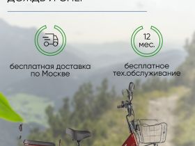 Электровелосипед Eltreco Green City e-Alfa New, год 2024, цвет Коричневый